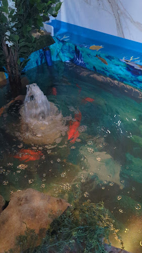 La Pita Halal Shawarma & Grill - Hospitality and gastronomy