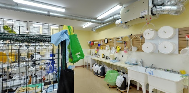 THE GOOD GUYS BREW SHOPPE - Hospitality and gastronomy