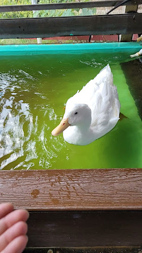 3443 Benvoulin Rd, Kelowna, BC V1W 4M5