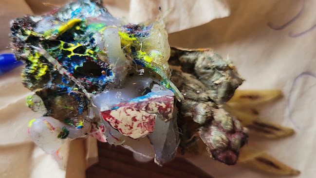 Serious Coffee Campbell River