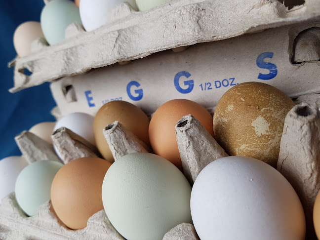 Powell River Farmers' Market - Powell River