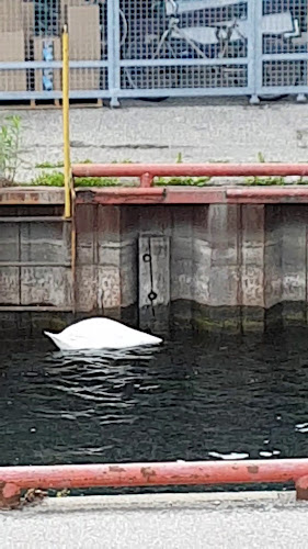 Comentarii opinii despre St. James's Gate Toronto