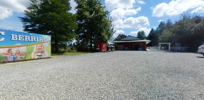 Driediger Farms Market - Langley Twp