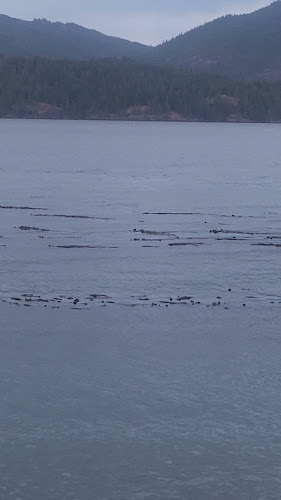 The Narrows Floating Restaurant