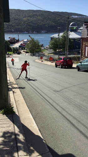 1 Duckworth St, St. John's, NL A1C 1E3