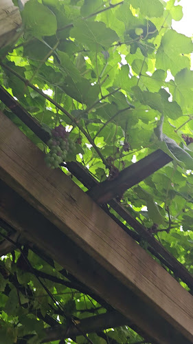 Orto Artisan Pasta - Hospitality and gastronomy