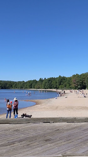 Comentarii opinii despre Dock Shoppe Ice Cream