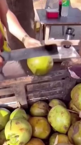 Chile & Agave Mexican Grill - Hospitality and gastronomy