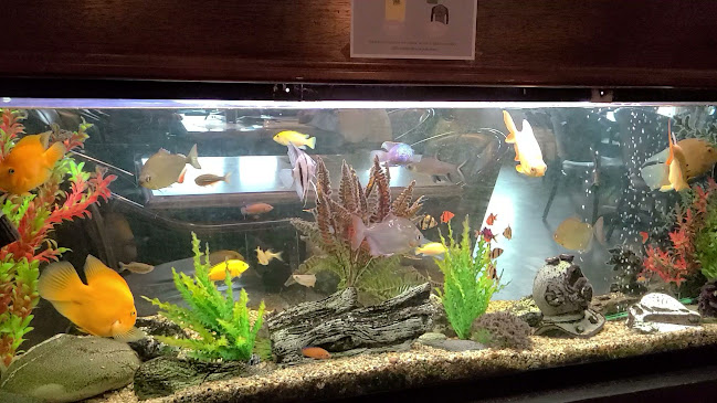 Turtle Bay Pub - Lake Country