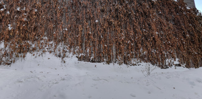 Comentarii opinii despre The Underground Cafe