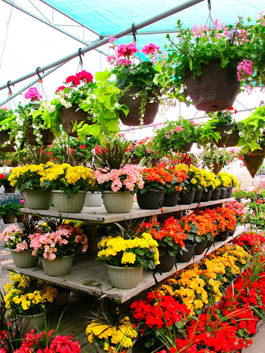 Opinii despre Marilu's Market în Burlington - Hospitality and gastronomy