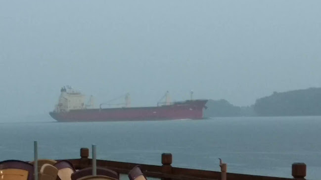 Opinii despre Blue Anchor în Cornwall - Hospitality and gastronomy