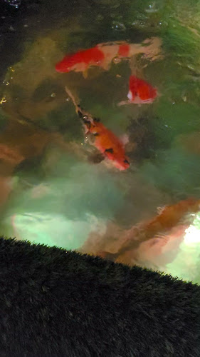 2003 Lakeshore Rd., Burlington, ON L7R 1A1