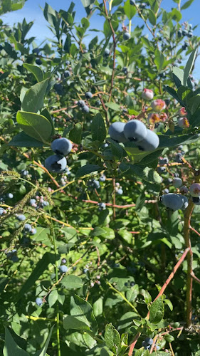 Opinii despre CanWest Farms Ltd. în Richmond - Hospitality and gastronomy