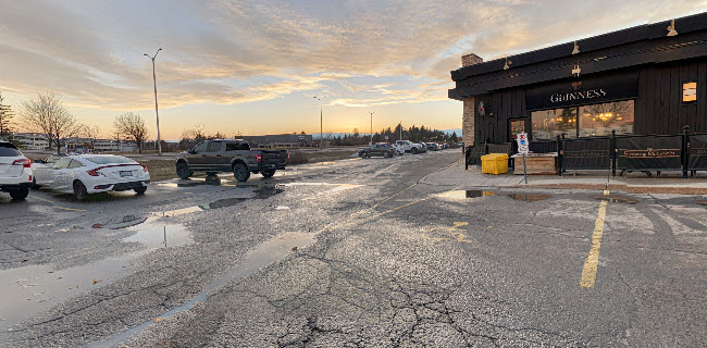 Opinii despre D'Arcy McGee's în Ottawa - Hospitality and gastronomy