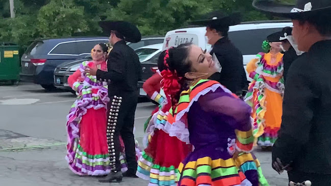 51 Hartzel Rd, St. Catharines, ON L2P 1M6