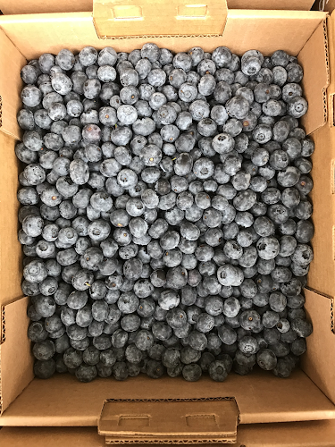 Opinii despre Paynter's Fruit Market în West Kelowna - Hospitality and gastronomy