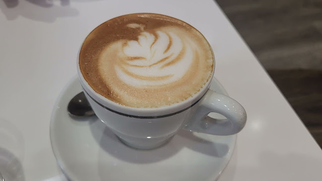 29 Bellair St, Toronto, ON M5R 1B8