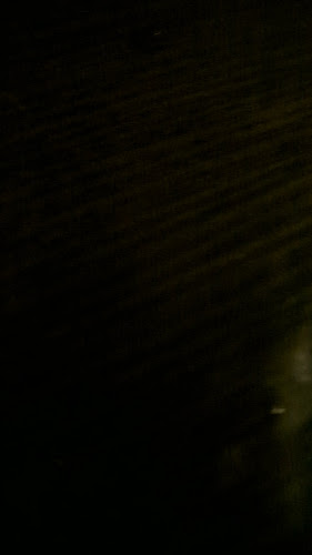 Zak's Diner Elgin St - Hospitality and gastronomy