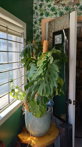 Opinii despre Café Cloudforest în Gatineau - Hospitality and gastronomy