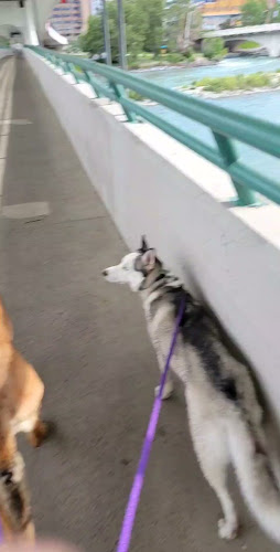 1126 Memorial Dr NW, Calgary, AB T2N 3E3