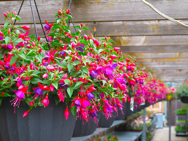 Marilu's Market - Burlington