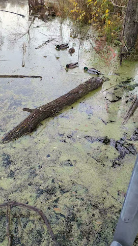 Comentarii opinii despre Cafe Belong