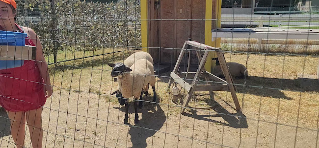 Comentarii opinii despre Don-O-Ray Farmers Market