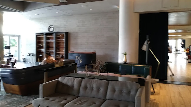 Opinii despre D/6 Bar & Lounge în Vancouver - Hospitality and gastronomy