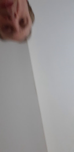 Comentarii opinii despre Fire Pizza