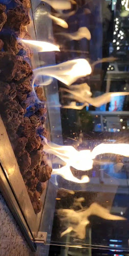 Browns Socialhouse Eagle Landing