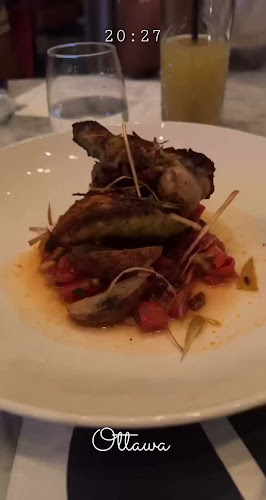 Social Restaurant + Lounge - Hospitality and gastronomy