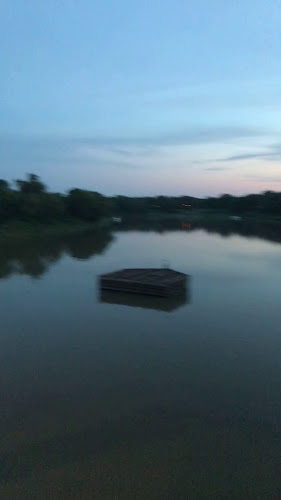 Comentarii opinii despre BDI (Bridge Drive-In)