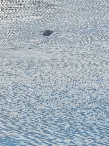 Breakers Pub - Prince Rupert