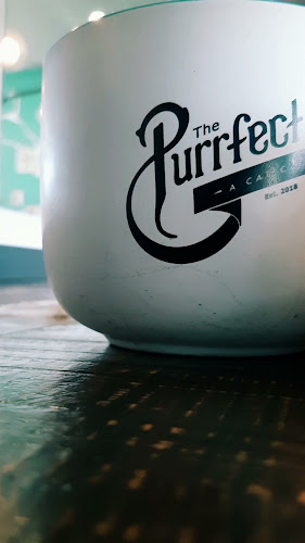 Opinii despre The Purrfect Cup - A Cat Cafe în Fredericton - Hospitality and gastronomy