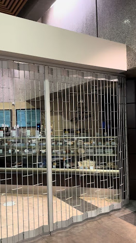 Opinii despre Café Ami în Vancouver - Hospitality and gastronomy