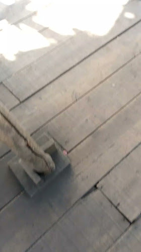 El Puerto de Acajutla - Edmonton