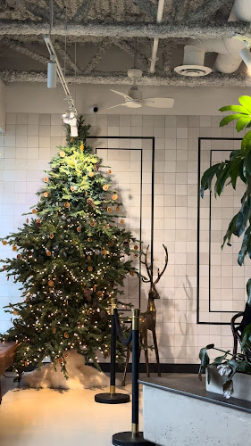 Comentarii opinii despre Little Beetle