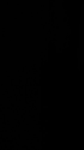 Fire Pizza - Hospitality and gastronomy