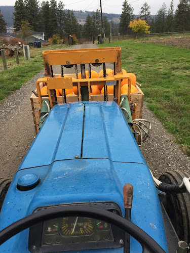 Paynter's Fruit Market - West Kelowna