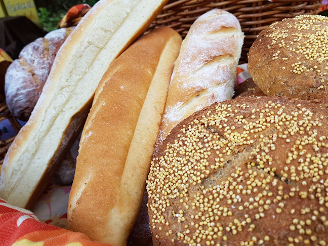 Opinii despre Powell River Farmers' Market în Powell River - Hospitality and gastronomy