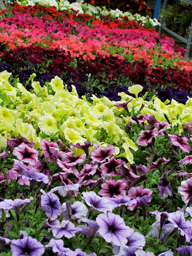 4025 New St, Burlington, ON L7L 1S8