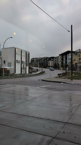 Noto Gelato - Hospitality and gastronomy