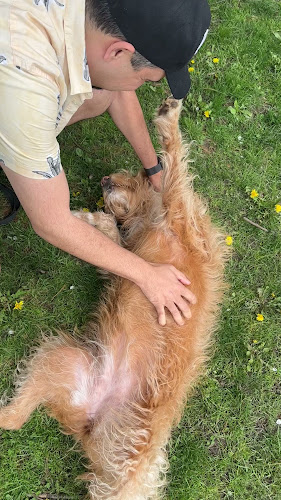 Comentarii opinii despre Blossom Bakery