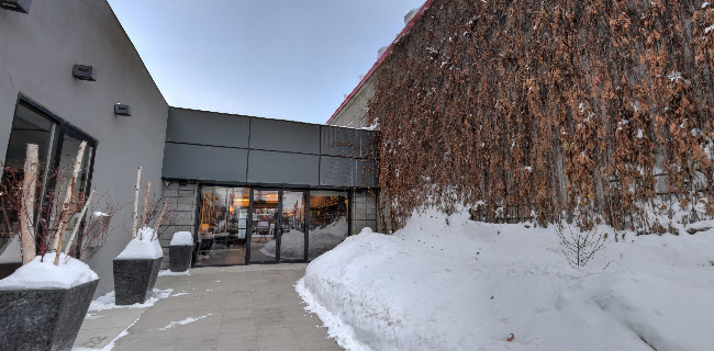 The Underground Cafe - Hospitality and gastronomy