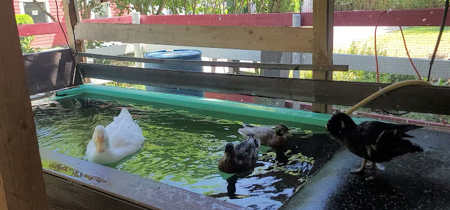 Don-O-Ray Farmers Market