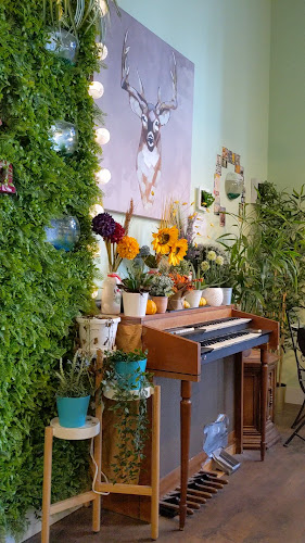 Opinii despre ON YOGURT în Vancouver - Hospitality and gastronomy