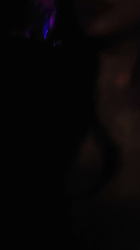 Comentarii opinii despre Back to Brooklyn Restaurant