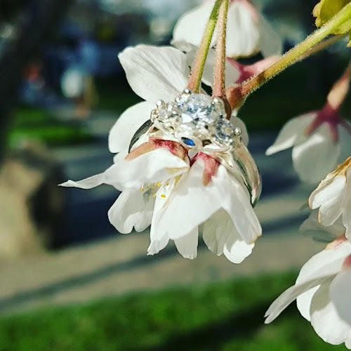 The Keating Channel Pub & Grill - Hospitality and gastronomy