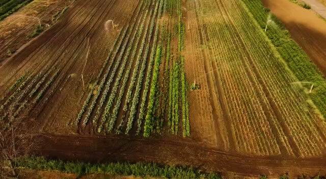 Opinii despre Don-O-Ray Farmers Market în Kelowna - Hospitality and gastronomy